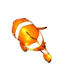 Big Clownfish