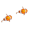 Clownfish